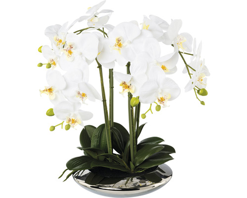 Plante artificielle Phalaenopsis hauteur : 41 cm blanc