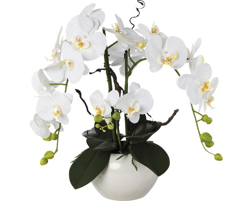 Plante artificielle arrangement de Phalaenopsis hauteur : 55 cm blanc
