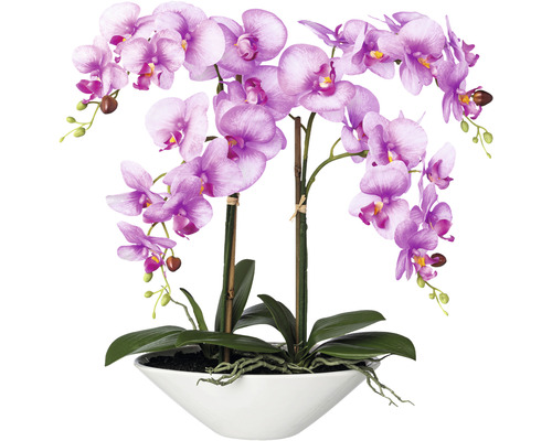 Plante artificielle Phalaenopsis hauteur : 53 cm violet