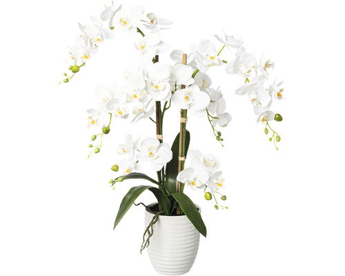 Plante artificielle Phalaenopsis hauteur : 67 cm blanc