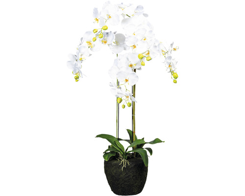 Kunstpflanze Phalaenopsis Hhe: 100 cm wei - HORNBACH Luxemburg