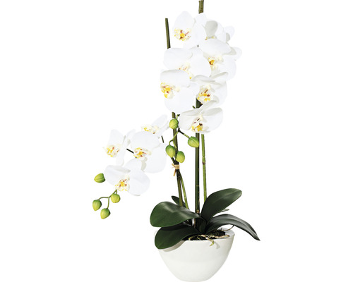 Plante artificielle Phalaenopsis hauteur : 50 cm blanc