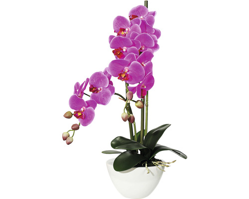 Plante artificielle Phalaenopsis hauteur : 50 cm violet