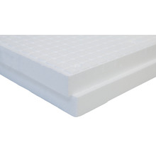 Panneau isolant BACHL en PSE PW/PB Bianco Plus avec feuillure conductivité thermique 034 1265 mm x 615 mm x 100 mm paquet = 3,11 m²