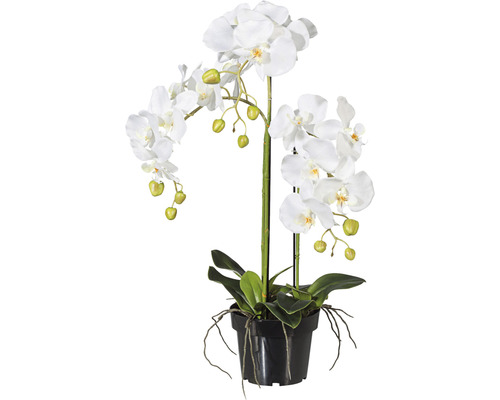 Plante artificielle Phalaenopsis hauteur : 62 cm blanc