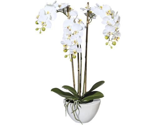 Plante artificielle mini Phalaenopsis hauteur : 51 cm blanc