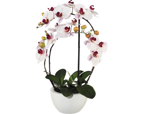 Plante artificielle Phalaenopsis hauteur : 52 cm rose