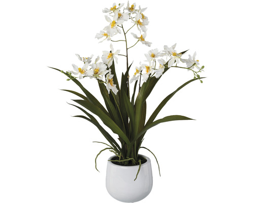 Plante artificielle orchidée Gambia hauteur : 50 cm blanc