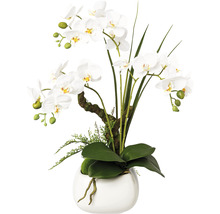 Künstliche Orchidee in einem Topf für die Dekoration