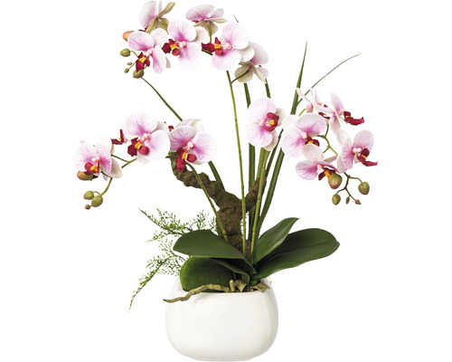Kunstpflanze Phalaenopsis Höhe: 46 cm lila