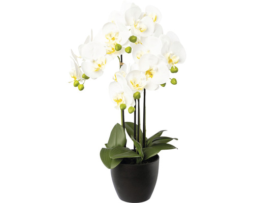 Plante artificielle Phalaenopsis hauteur : 55 cm blanc