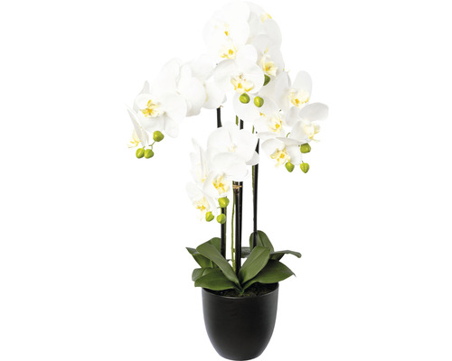 Kunstpflanze Phalaenopsis Höhe: cm HORNBACH 69 weiß - Luxemburg