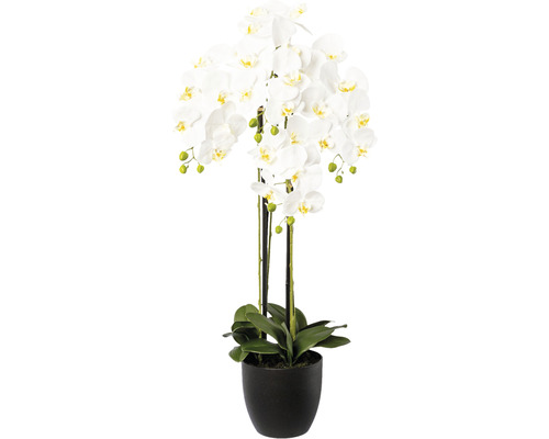 Plante artificielle Phalaenopsis hauteur : 99 cm blanc