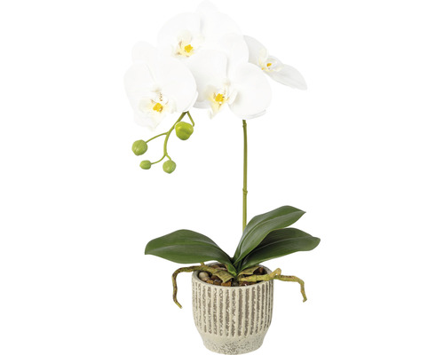 Plante artificielle Phalaenopsis hauteur : 36 cm blanc