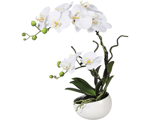Plante artificielle Phalaenopsis hauteur : 42 cm blanc