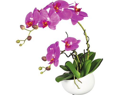 Plante artificielle Phalaenopsis hauteur : 42 cm violet