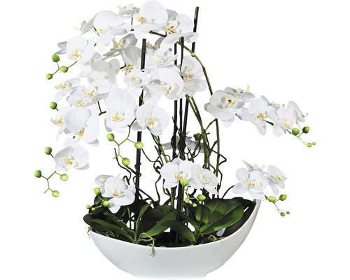 Plante artificielle Phalaenopsis hauteur : 68 cm blanc