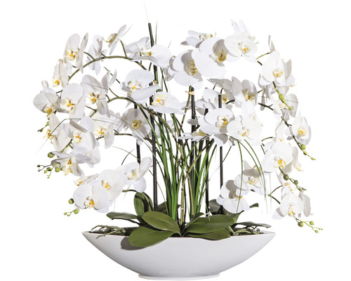 Plante artificielle Phalaenopsis hauteur : 70 cm blanc