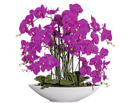 Plante artificielle Phalaenopsis hauteur : 70 cm violet