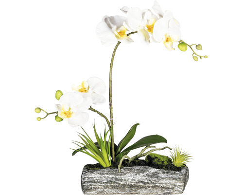 Plante artificielle arrangement de Phalaenopsis hauteur : 40 cm crème