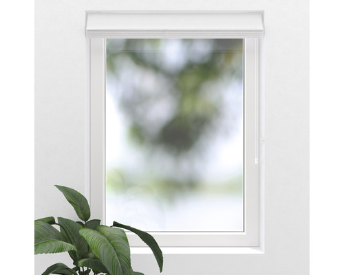 Fenster mit Rollo zur Beschattung