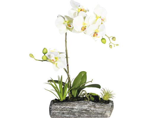 Plante artificielle arrangement de Phalaenopsis hauteur : 40 cm vert