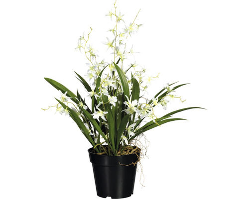 Plante artificielle Oncydie Dancing hauteur : 60 cm blanc