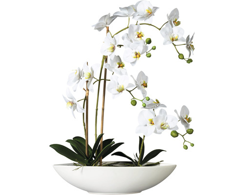 Plante artificielle Phalaenopsis hauteur : 60 cm blanc