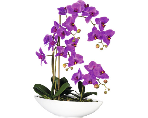 Plante artificielle Phalaenopsis hauteur : 60 cm violet