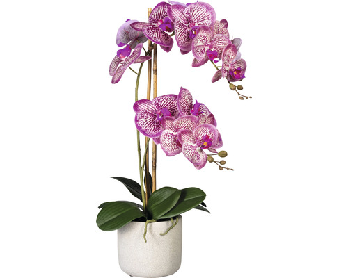 Plante artificielle Phalaenopsis hauteur : 60 cm rose vif
