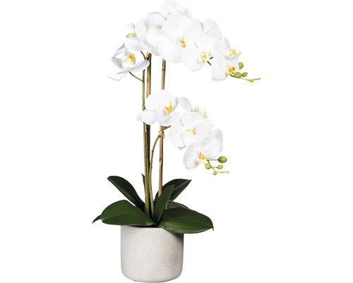 Plante artificielle Phalaenopsis étroite hauteur: 60 cm blanc