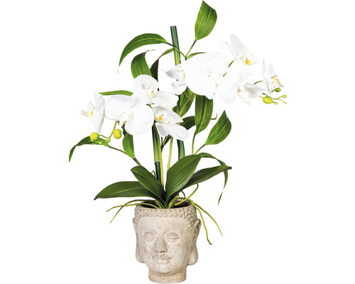 Plante artificielle orchidées bambou hauteur : 60 cm blanc