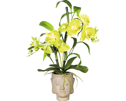 Plante artificielle orchidée hauteur : 60 cm vert