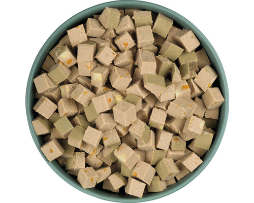 Aliments humides en forme de cube dans un bol