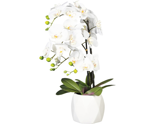 Plante artificielle orchidée hauteur : 60 cm blanc