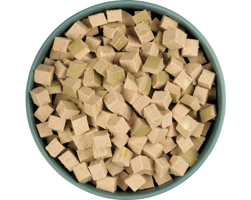 Bol de nourriture pour chien coupée en dés