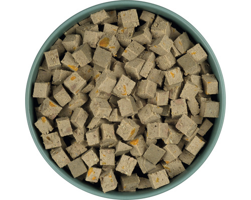 Cubes de nourriture pour chiens dans un bol