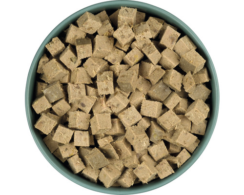 Cubes de nourriture pour chiens dans un bol