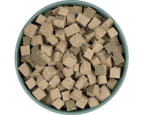 Nourriture pour chiens en forme de cubes dans un bol