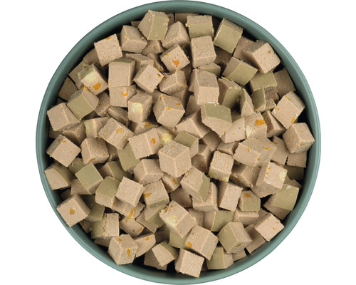 Bol avec nourriture humide coupée en dés pour animaux de compagnie