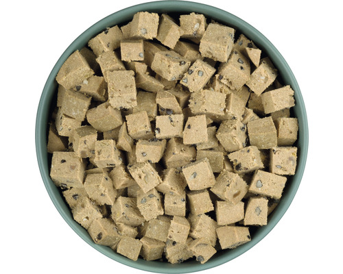 Cubes de nourriture pour chiens dans un bol