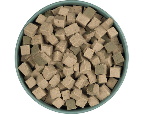 Nourriture pour chiens en forme de cubes dans un bol