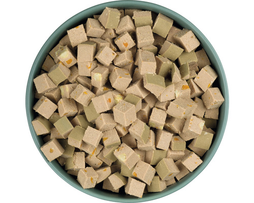 Bol avec nourriture humide en dés pour chiens