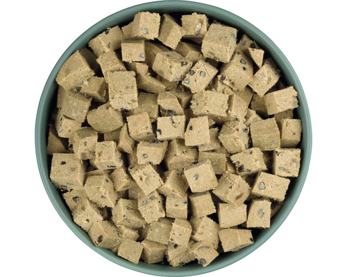 Cubes d''aliments pour animaux dans un bol