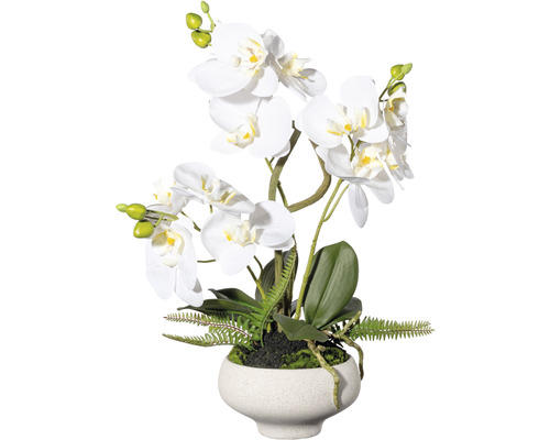 Plante artificielle orchidée hauteur : 50 cm blanc