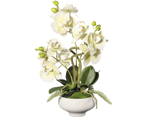 Plante artificielle orchidée hauteur : 50 cm vert