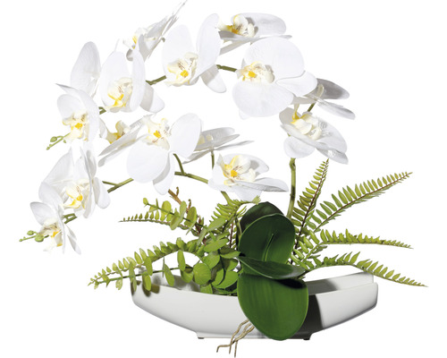 Plante artificielle orchidée hauteur : 40 cm blanc
