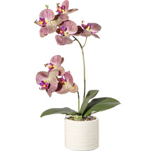 Künstliche Orchidee im Topf als Dekoration