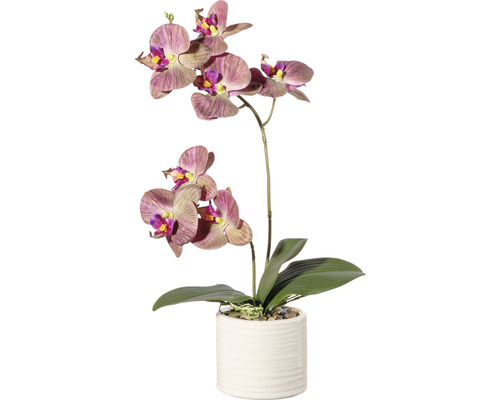 Plante artificielle orchidée hauteur : 45 cm vert
