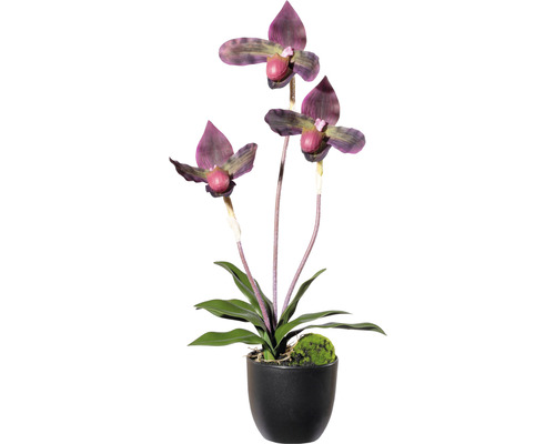Plante artificielle orchidée hauteur : 45 cm bordeaux